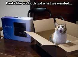 ( 3 ) funny cats photos ( 2 ) funny christmas pictures ( 1. Cat Jokes Home Facebook