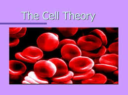 Cell structure & function 7.1 life is cellular think about it what?s the smallest part of any living thing that still counts as being ?alive?? 7 1 Life Is Cellular Lesson Objectives State The Cell Theory Ppt Download