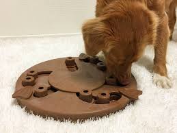 Maybe you would like to learn more about one of these? Outward Hound Interactive Dog Toys Challenge Dogs To Find Treats