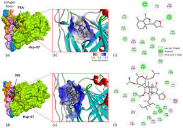 Image result for Trichilia prieuriana
