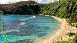 Maybe you would like to learn more about one of these? The Complete Guide To Visiting Hanauma Bay