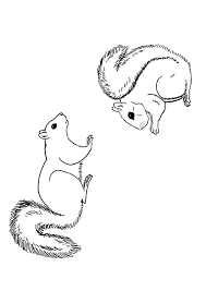 Select from 35478 printable crafts of cartoons, nature, animals, bible and many more. Parentune Free Printable Squirrel Coloring Pages Squirrel Coloring Pictures For Preschoolers Kids