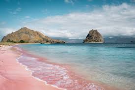 Indonesian (bahasa indonesia), the official language, is used in the context of education, business, and formal affairs. Pink Beach In Labuan Bajo Indonesia An Honest Review Our Taste For Life