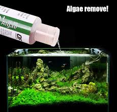 If none of these methods works, you could solve the problem using algaecides. Algaecides Algea Solution Algae Remove Aquarium Water Plant Clean Brown Black Hair Algae Kill Algae Remove Aquarium Algaeclean Algas Aliexpress
