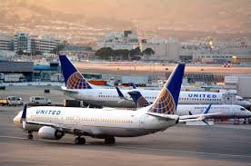 Dog Dies On Flight After Passenger Forced To Put Carrier In Overhead Bin In 2020 United Airlines Death Of A Pet San Francisco International Airport