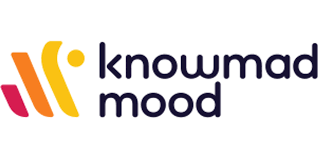  Knowmad Mood