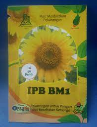 Ada yang sekadar bertanya beberapa info dan ada yang minta maklumat secara terperinci. Benih Bunga Matahari Ipb Bm1 Lazada Indonesia