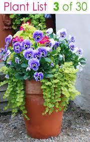 Get the best deals on plastic plant pots. Colorful Mixed Pots Flower Gardening With 30 Plant Lists A Piece Of Rainbow