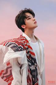 Seventeen Fallin Flower Album Jacket In 2020 Dino Seventeen Seventeen Kpop Seventeen The8