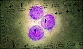 Maybe you would like to learn more about one of these? 3i8osda Zi8nvm
