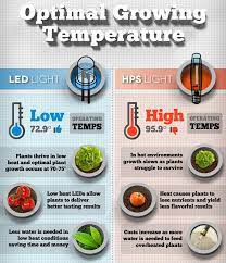 Tomato grow lights (or plant grow lights) allow you to start seedlings and grow tomatoes indoors, even during the off season or when temperatures are cold outside. How To Grow Tomatoes Indoors With Led Grow Lights Steps To Improving Tomato Quality And Quantity Of Harvest