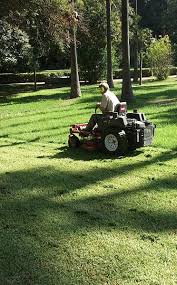 Description of work bought a honda lawn mower from richardson saw and lawnmower. Our Lawns Are Killing Us It S Time To Kick The Habit Ecological Landscape Alliance