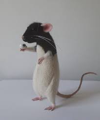 Black And White Mouse Image Rat With Cup Collectible Felt Mouse Toy With Black Eyes And White Fur Looks Like Real Made Out Of Wool Life Size Thanks To Animals Pet Rats Wool Animals