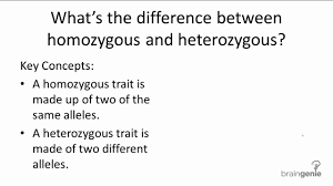 difference between homozygous and heterozygous difference wiki