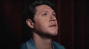 Who Is Niall Horan's Girlfriend, Amelia Woolley, & What Is Their  Relationship History?