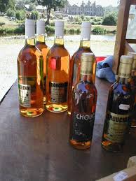 Sejour Pas Cher En Famille Vin Fruite Boisson Alcoolisee Bretagne