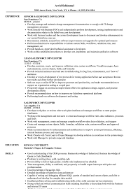 salesforce developer resume samples