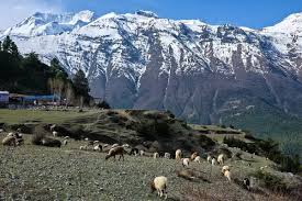 Annapurna Circuit Trek 16 Days | Cost & Itinerary 2026