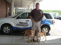 Na Star Thestarofna - Profile Pinterest