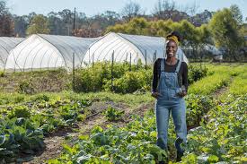 Jamila Norman: Farm to Table to Television