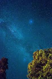 We hope you enjoy our growing collection of hd images to use as a background or home screen for your smartphone or please contact us if you want to publish a night sky stars wallpaper on our site. Hd Wallpaper Green Tree Painting Dark Blue Sky Stars Night Plants Nature Wallpaper Flare