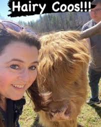 Christian Fiction Scavenger Hunt Stop #20