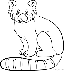 Here is a tutorial showing how i tackled drawing a. Simple Red Panda Coloring Page Coloringall