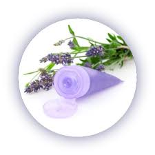 Image result for Leptactina involucrata