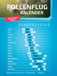 Informationen zum aktuellen pollenflug und tipps, um die pollenbelastung zu verringern. Pollenflug Wann Fliegen Welche Pollen Bayern 1 Radio Br De