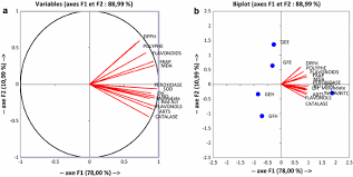 Image result for Afrostyrax lepidophyllus