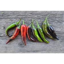 Keep in mind that regardless of the method you choose fortunately, there are plenty of natural alternatives that you can make in the comfort of your home. Planten Zaden Bolgewassen Heirloom Variety Purple Cayenne Pepper 20 Seeds Luxclusif Com