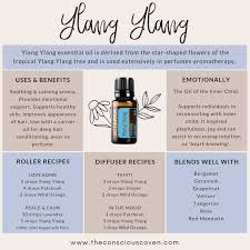 Ylang Ylang Essential Oil Essential Oils Aromatherapy Cedarwood Essential Oil Cedarwood Essential Oil Uses