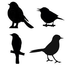 Page Not Found Bird Stencil Bird Silhouette Silhouette Stencil
