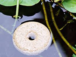 The device is activated by a remote or timer. How To Kill Mosquito Larvae 5 Brilliant Tactics Pest Hacks