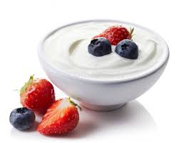 daily yogurt 