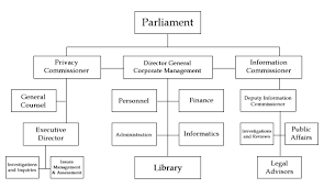 58 Complete Legislative Branch Structure Chart