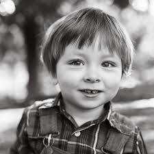 The azaleas have been beautiful this year 🌸