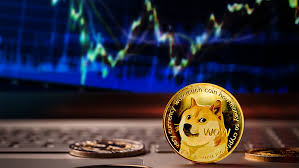 Get live charts for doge to usd. Liquidaciones De Dogecoin Aumentan En Las Ultimas 24 Horas