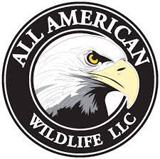 We serve homeowners, property management, industrial. All American Wildlife Pest Services Home Facebook