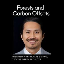 The role of biochar and biofuels in decarbonisation