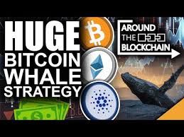 There are several factors contributing to the rapid rise in price. Best Crypto Coins For 2021 Reddit Crypto Currency Trading 100 Profit Only 1days Best Bitcoin