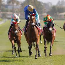 🏆💜 LA CORONACIÓN DE CASSIS VIOLETA La pensionista de Julio Orellana ganó  con autoridad el clásico Las Oaks