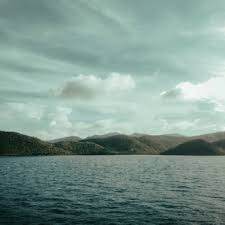 Check spelling or type a new query. Music Shane Casey