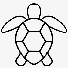 Download Png File Turtle Svg Files Png Image Transparent Png Free Download On Seekpng