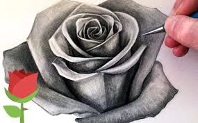 Tips and techniques to draw your favorite flower with many examples using pen and ink. How To Draw A Rose And Flowers Step By Step For Android Apk Download