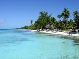 If you would like to know various other wallpaper, you can see our gallery on. 73 Free Tropical Desktop Wallpaper On Wallpapersafari