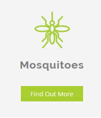 At prime pest control london, we are fully committed to get rid of any pest problem with less treatments and less toxicity to our customers and pest technicians. Pest Types Allrid