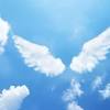Imagenes de alas de angel. 1