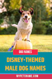 Male Disney Dog Names Dog Names Disney Dog Names Disney Pet Names