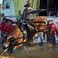 Brunswick Junction Rodeo 2025 event image